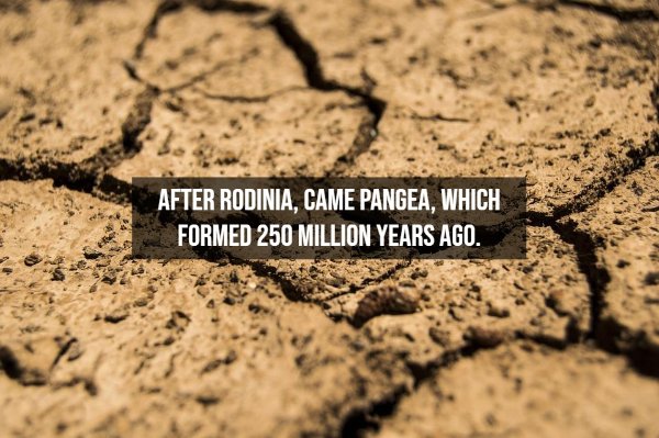 Interesting Facts About Earth (15 pics)