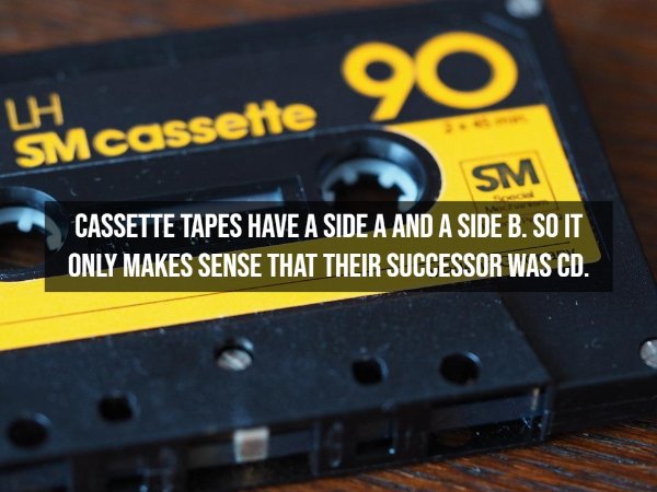 Interesting Thoughts (14 pics)