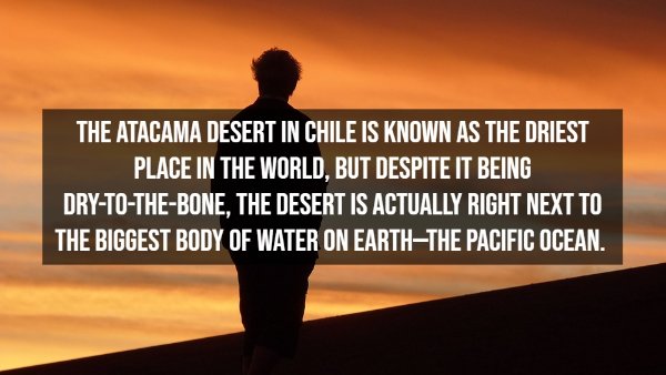 Interesting Facts About Earth (15 pics)