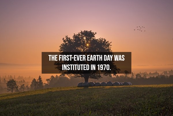 Interesting Facts About Earth (15 pics)