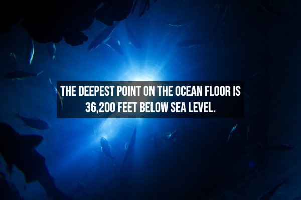 Interesting Facts About Earth (15 pics)