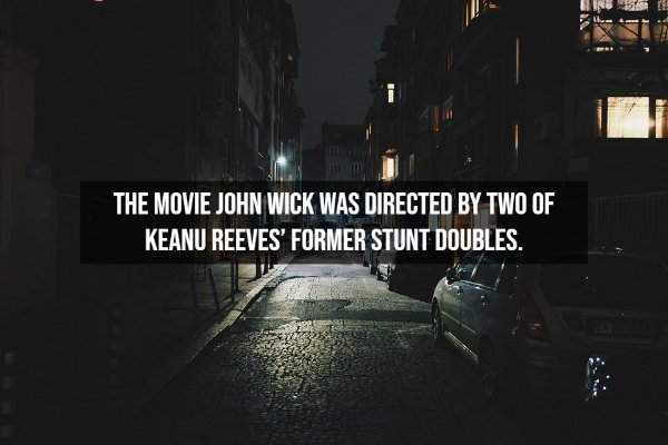 Random Facts (14 pics)