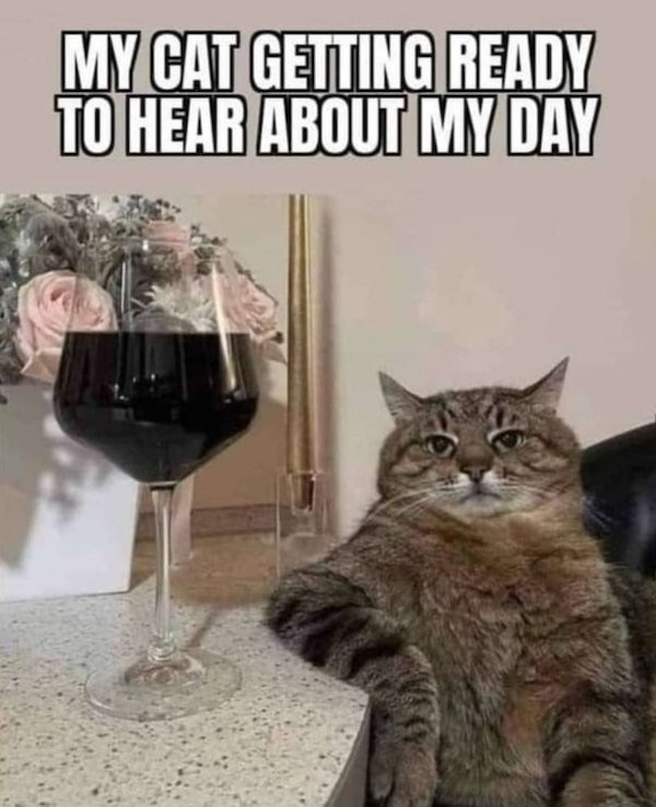 Funny Memes (20 pics)