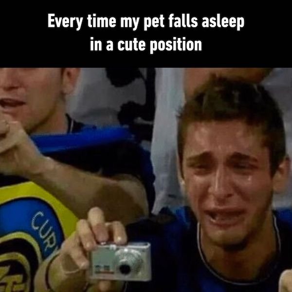 Funny Memes (20 pics)
