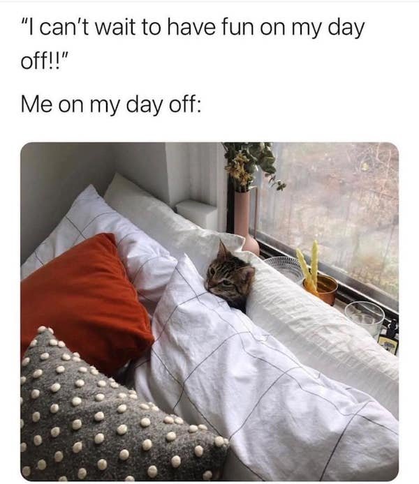 Funny Memes (20 pics)