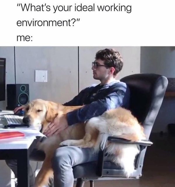 Funny Memes (20 pics)