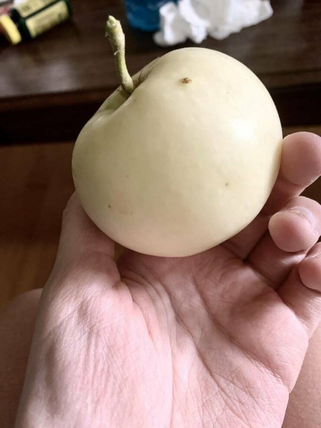 Interesting Finds (20 pics) Interesting Finds (20 pics)