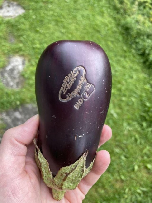 Interesting Finds (20 pics) Interesting Finds (20 pics)