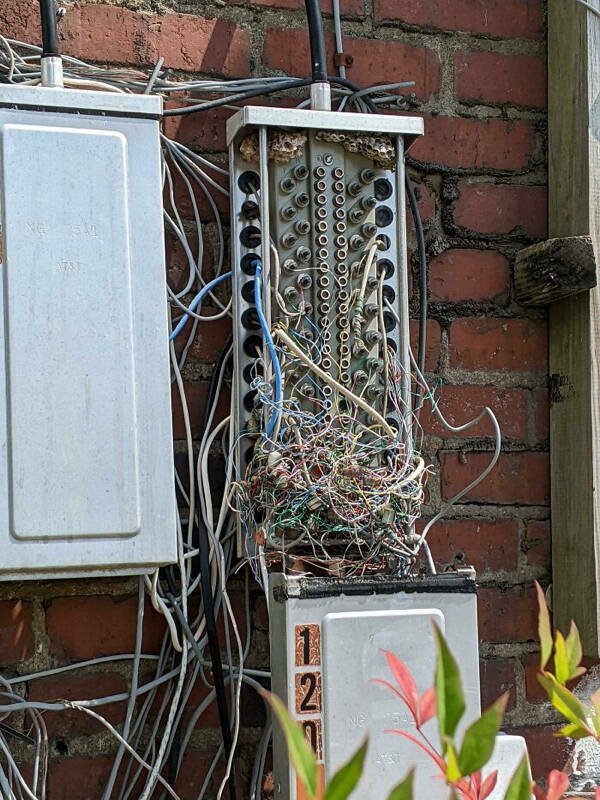 They Don't Think About Safety (29 pics)