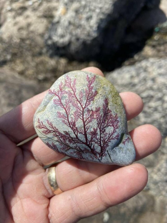 Interesting Finds (20 pics) Interesting Finds (20 pics)