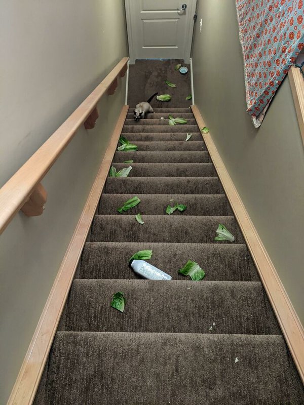 Bad Days Happen (29 pics)