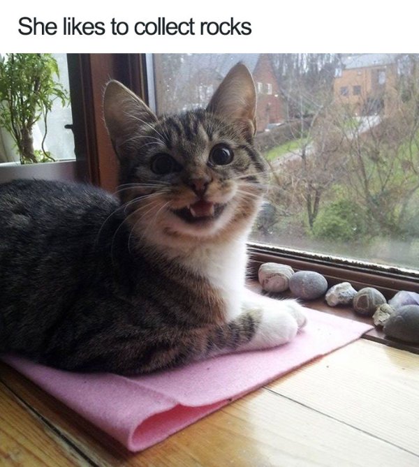 Funny Memes (23 pics)