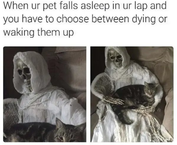 Funny Memes (23 pics)