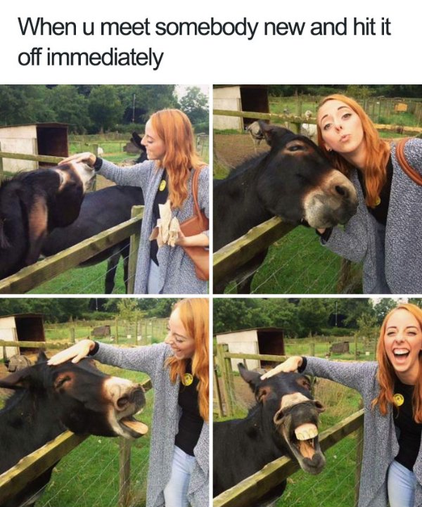 Funny Memes (23 pics)