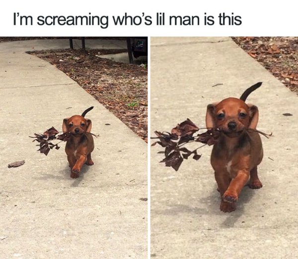Funny Memes (23 pics)