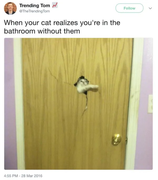 Funny Memes (23 pics)