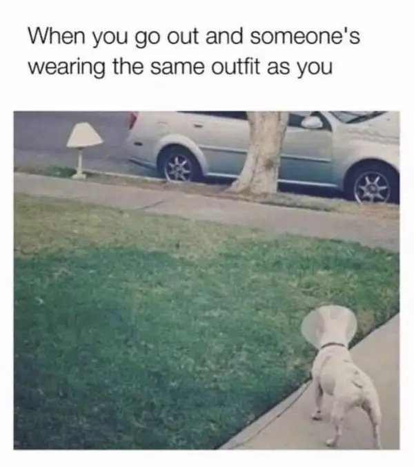 Funny Memes (23 pics)
