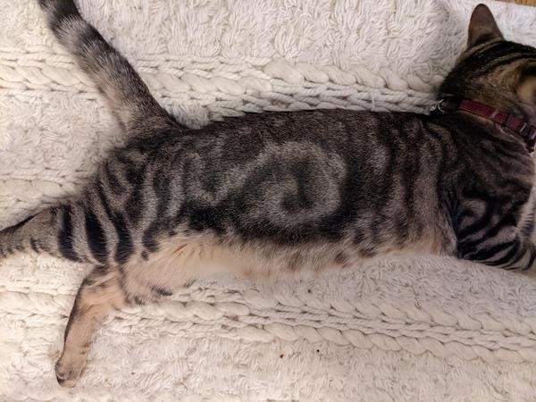 Unusual Finds (18 pics)