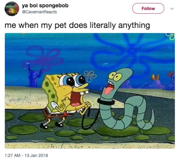 Funny Memes (23 pics)