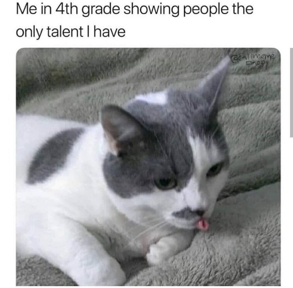 Funny Memes (16 pics)