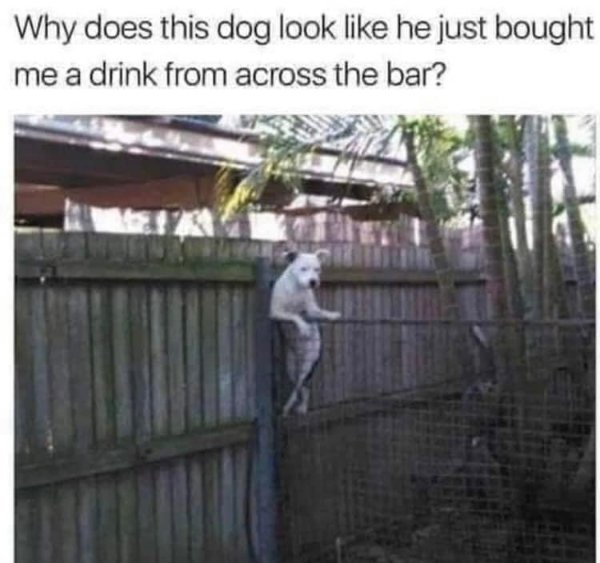 Funny Memes (16 pics)