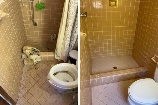 Before And After Cleaning (18 pics)