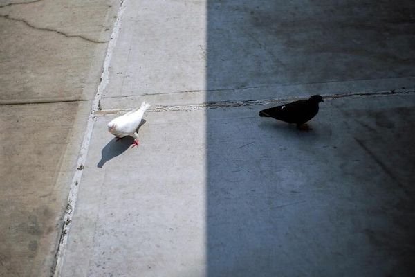 Right Moment (35 pics)