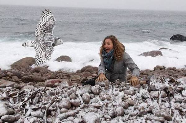 Right Moment (35 pics)