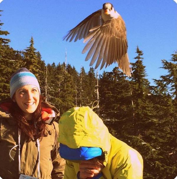Right Moment (35 pics)