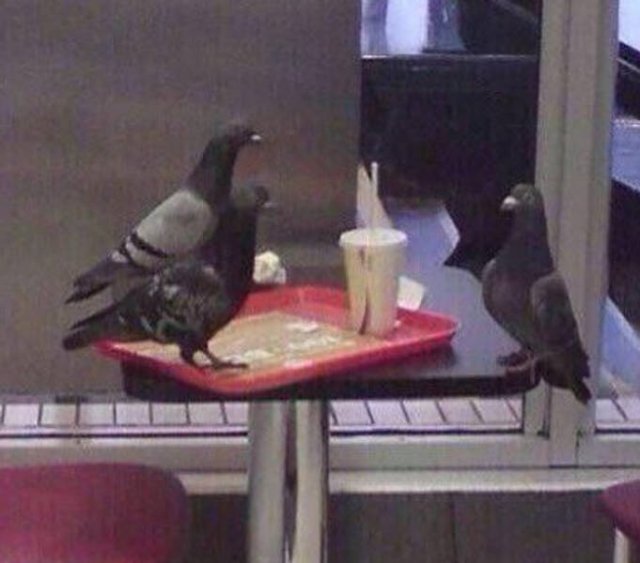 Weird Finds And Situations (35 pics)