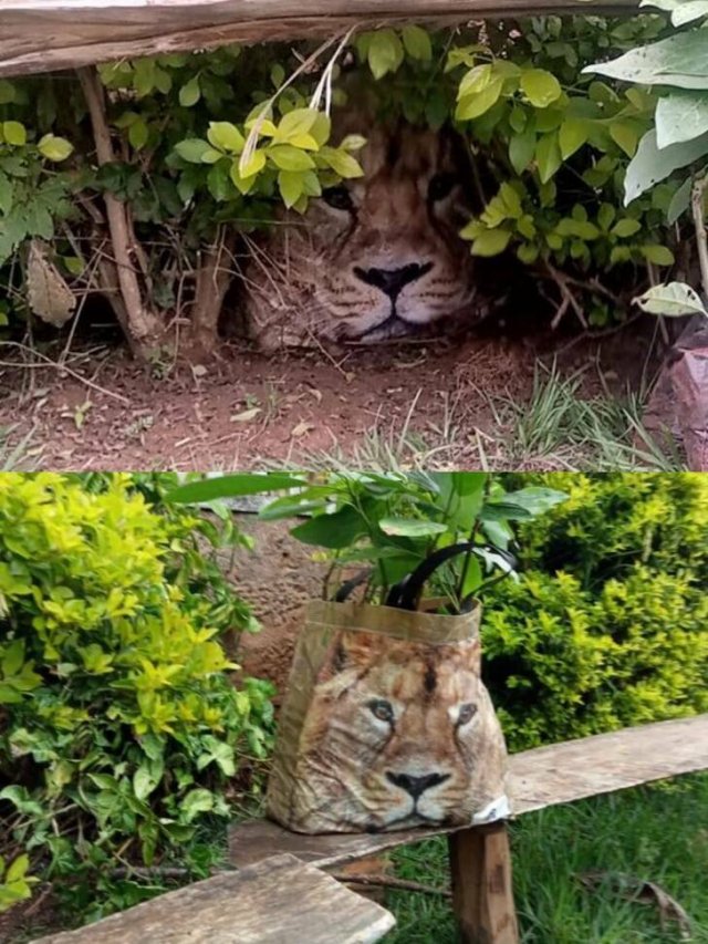 Weird Finds And Situations (35 pics)