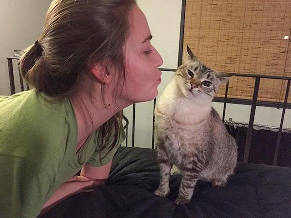 Cute And Funny Cats (36 pics)