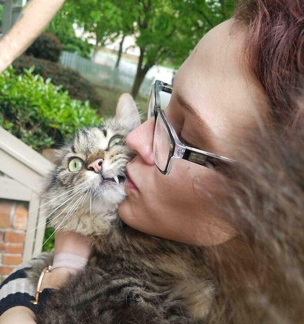 Cute And Funny Cats (36 pics)