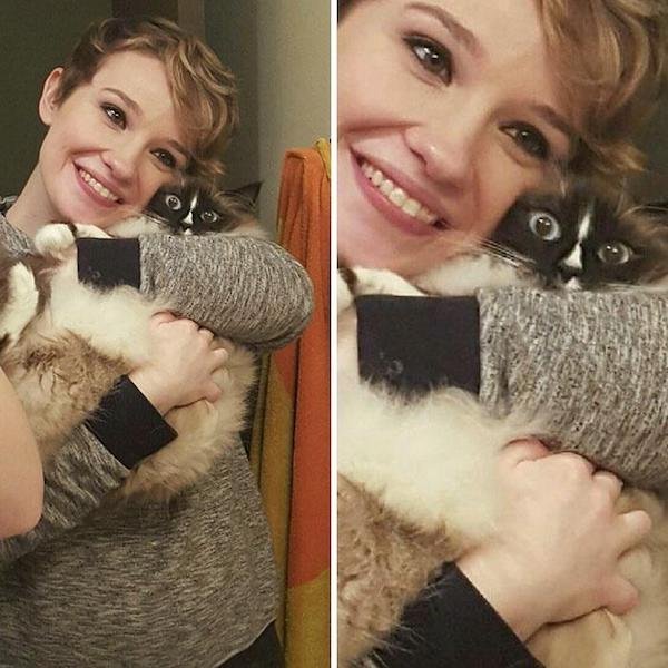 Cute And Funny Cats (36 pics)