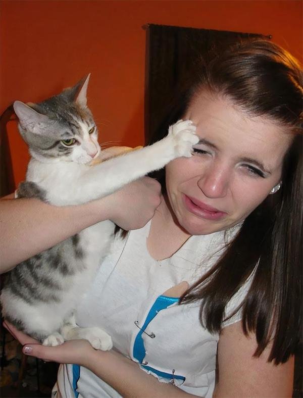 Cute And Funny Cats (36 pics)