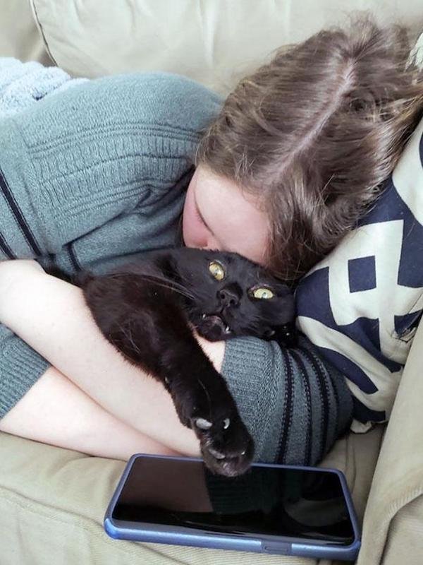 Cute And Funny Cats (36 pics)