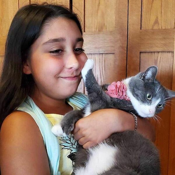 Cute And Funny Cats (36 pics)