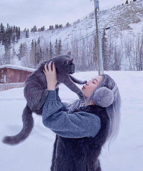 Cute And Funny Cats (36 pics)