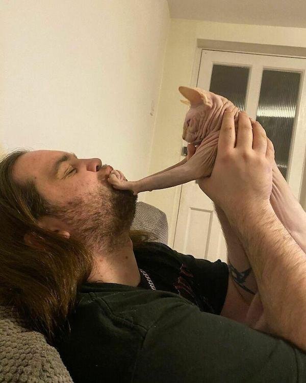 Cute And Funny Cats (36 pics)