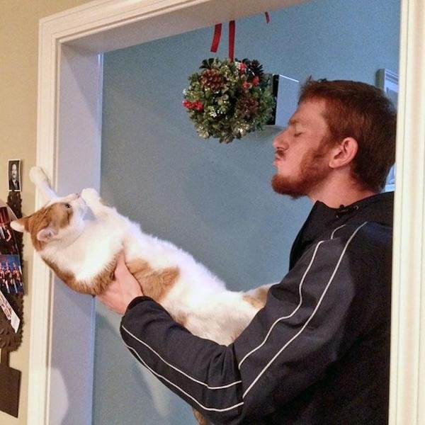 Cute And Funny Cats (36 pics)