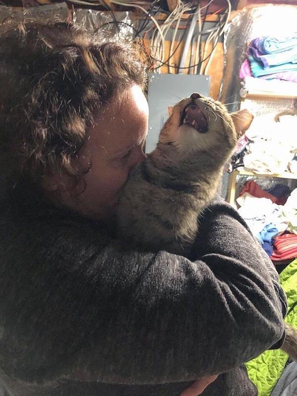 Cute And Funny Cats (36 pics)