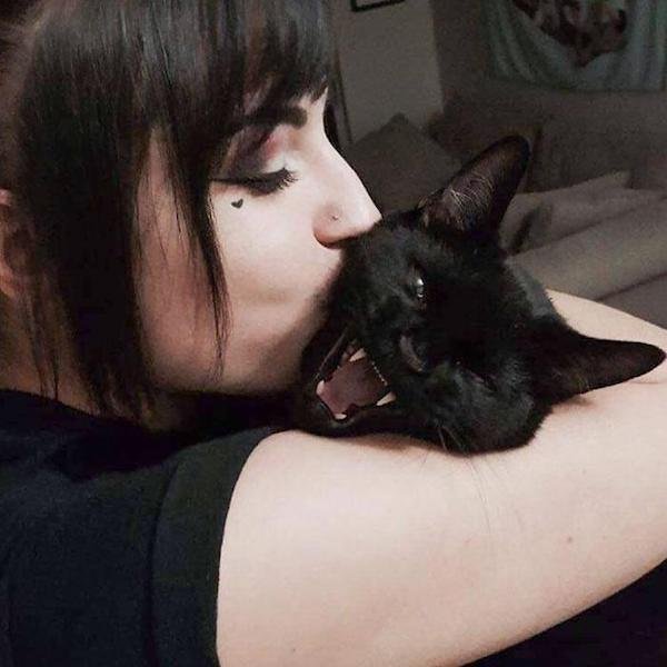 Cute And Funny Cats (36 pics)