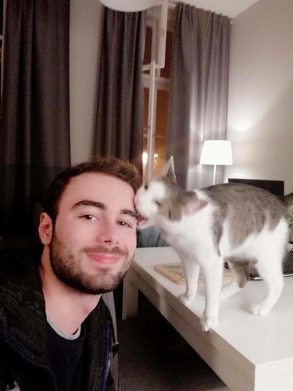 Cute And Funny Cats (36 pics)
