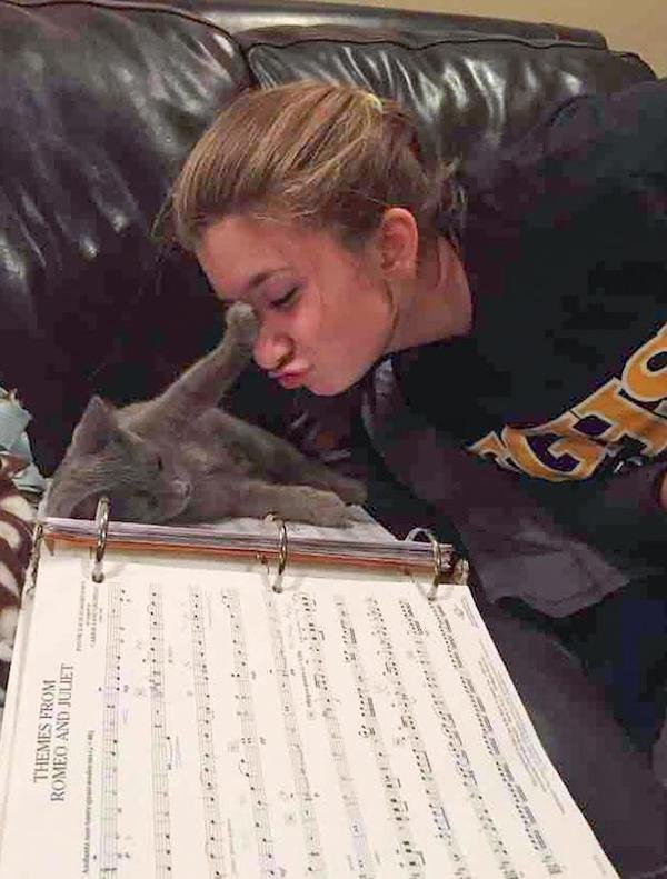 Cute And Funny Cats (36 pics)