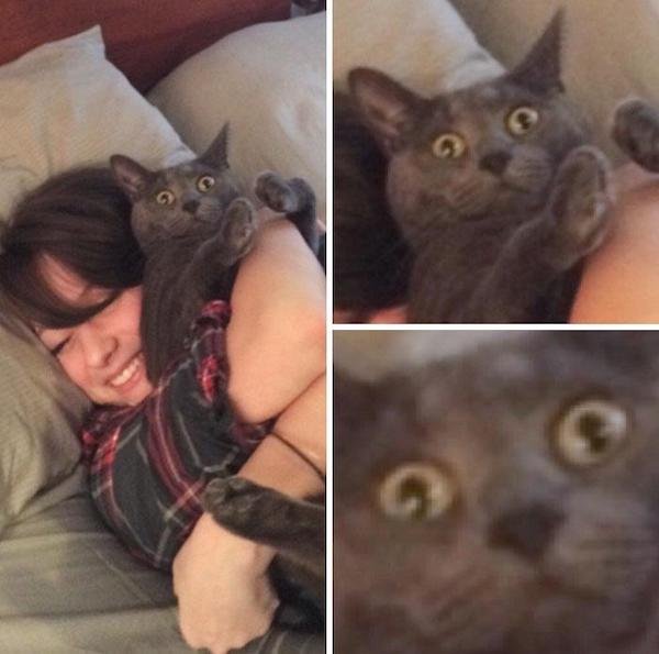 Cute And Funny Cats (36 pics)