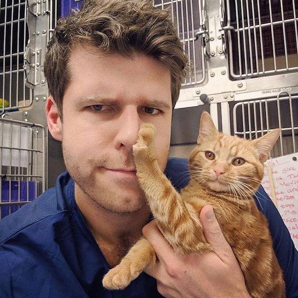 Cute And Funny Cats (36 pics)