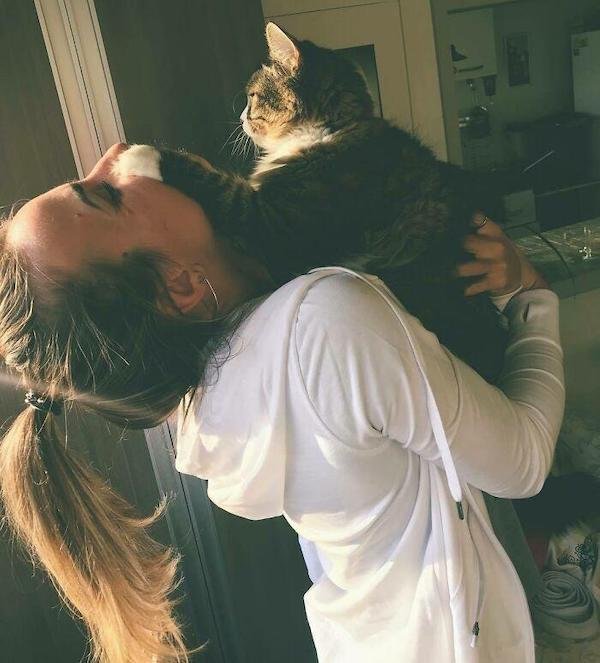 Cute And Funny Cats (36 pics)