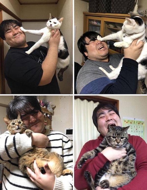 Cute And Funny Cats (36 pics)