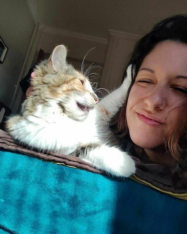 Cute And Funny Cats (36 pics)