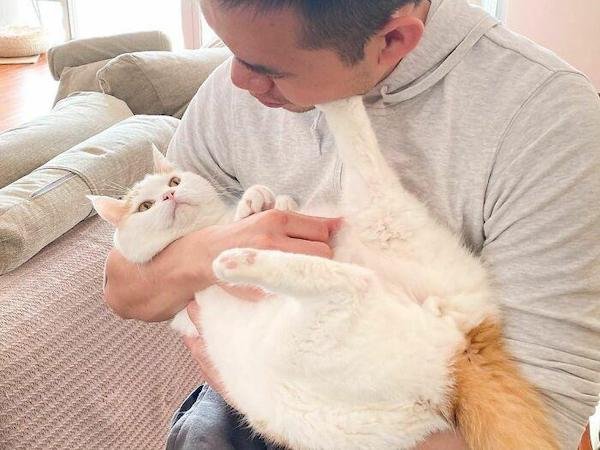 Cute And Funny Cats (36 pics)